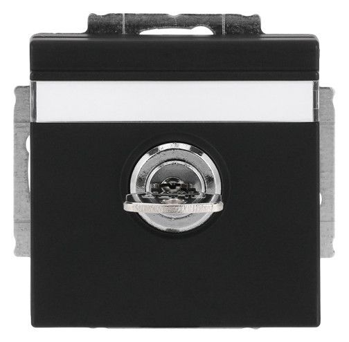 BJ 20 EUKNBSL-885-101 SCHUKO Steckdosen-Einsatz schwarz matt future
