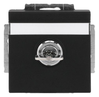 BJ 20 EUKNBSL-885-101 SCHUKO Steckdosen-Einsatz schwarz matt future