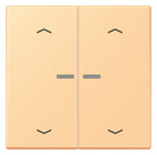 Jung LC102KO5P258 Wippe m.Lichtleiter u. Pfeilsymbolen