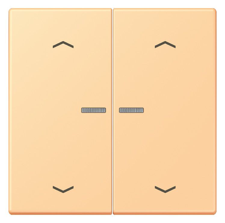 Jung LC102KO5P258 Wippe m.Lichtleiter u. Pfeilsymbolen