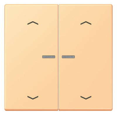 Jung LC102KO5P258 Wippe m.Lichtleiter u. Pfeilsymbolen