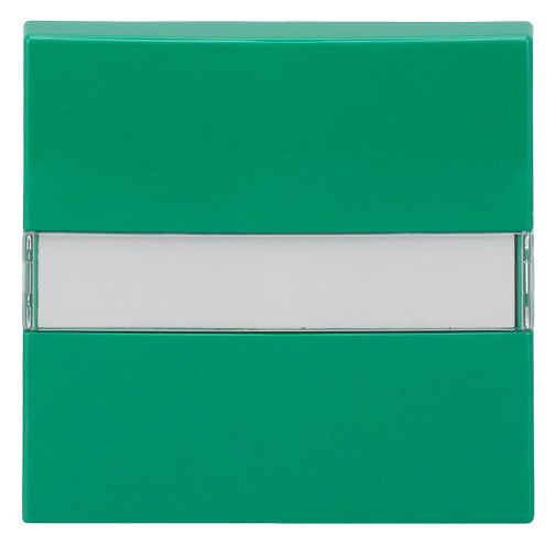 BJ 2510 NLI-13-914 Wippe gn RAL6032 Busch-balance SI Abdeckung