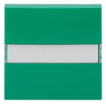 BJ 2510 NLI-13-914 Wippe gn RAL6032 Busch-balance SI Abdeckung