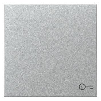 GIRA 328726 Wippe Symbol Tür System 55 Farbe Alu