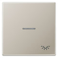 Jung ES2990KO5L Wippe Licht Lichtleiter LS Edelstahl