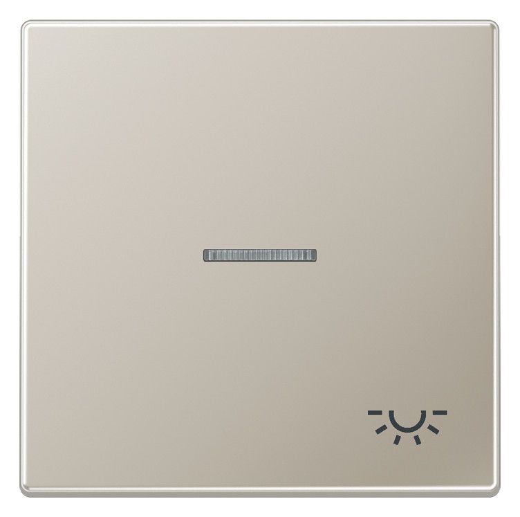 Jung ES2990KO5L Wippe Licht Lichtleiter LS Edelstahl