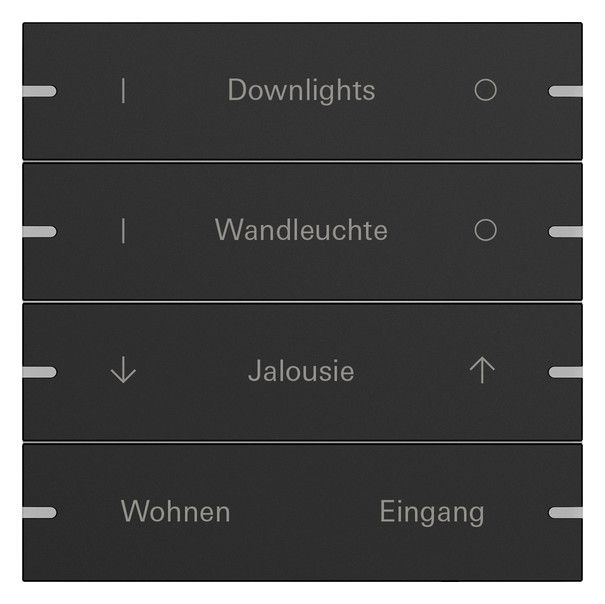 GIRA 5034905 Wippenset 4fach indiv. Tastsensor4 TS4 Alu Schwarz matt(lack.)