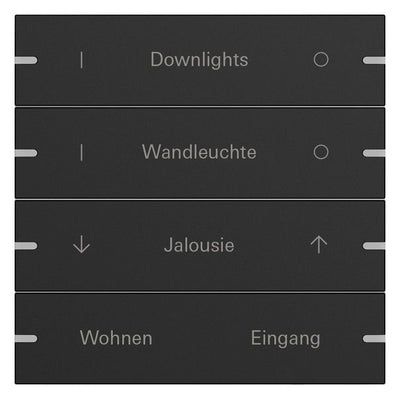 GIRA 5034905 Wippenset 4fach indiv. Tastsensor4 TS4 Alu Schwarz matt(lack.)