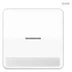 Jung CD590NAKO5WW Wippe Schriftfeld m.Lichtleiter alpinweiß