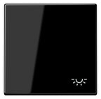 Jung LS990LSW Wippe Symbol Licht schwarz