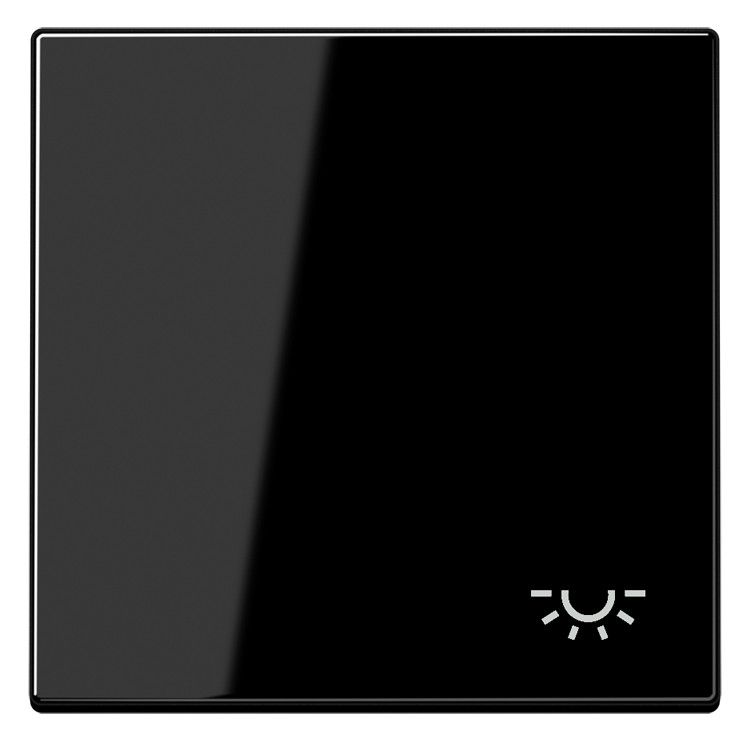 Jung LS990LSW Wippe Symbol Licht schwarz