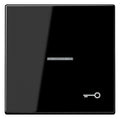 Jung LS990KO5TSW Wippe Symbol Tür m.Lichtleiter schwarz