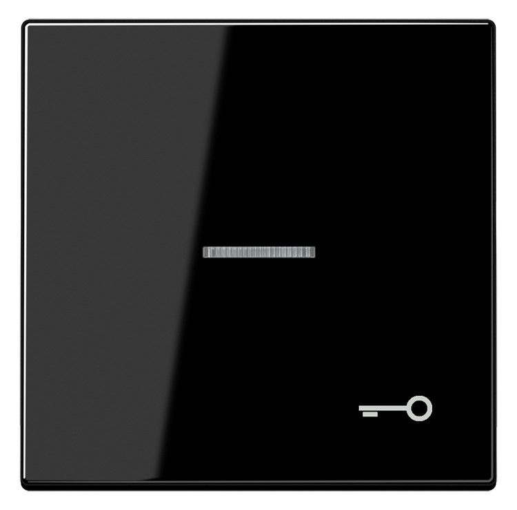 Jung LS990KO5TSW Wippe Symbol Tür m.Lichtleiter schwarz
