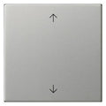 GIRA 5389600 Wippe 1fach Pfeile System 55 Edelstahl