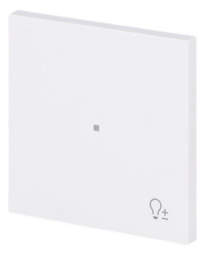 BJ 6234-10-44M Wippe 1-fach m.Symbol "Dimmer"