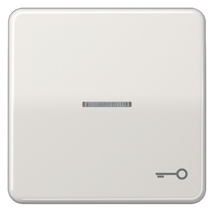 Jung CD590KO5TLG Wippe Symbol Tür m.Lichtleiter lichtgrau