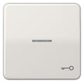 Jung CD590KO5TLG Wippe Symbol Tür m.Lichtleiter lichtgrau