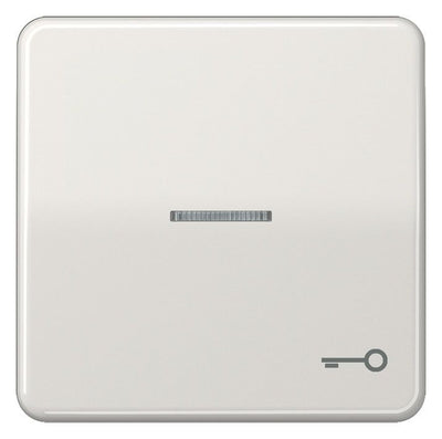 Jung CD590KO5TLG Wippe Symbol Tür m.Lichtleiter lichtgrau