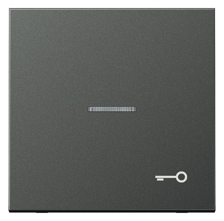 Jung AL2990KO5TAN Wippe Tür Lichtleiter LS Aluminium anthrazit
