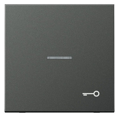 Jung AL2990KO5TAN Wippe Tür Lichtleiter LS Aluminium anthrazit