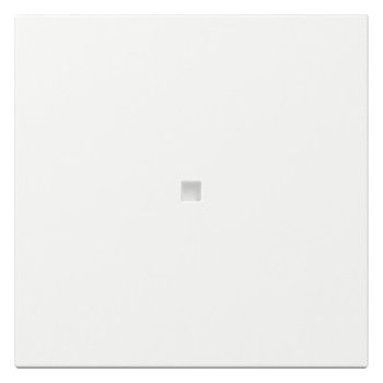 GIRA 349003 Wippe gerade Kontrollfenster System 55 Reinweiß glänzend