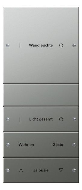 GIRA 2134602 Wippenset 4fach (1+3) beschreibbar System 55 Edelstahl