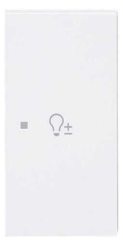 BJ 6234-22-44G Wippe 2-fach rechts m.Symbol "Dimmer"