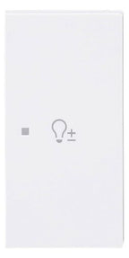 BJ 6234-22-44G Wippe 2-fach rechts m.Symbol "Dimmer"