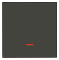 Panasonic WDTR00021DG-EU1 Plus 55 Wippe anthrazit m.Kalotte rot
