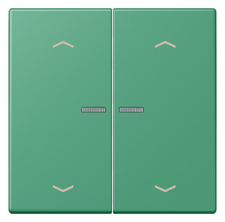 Jung LC102KO5P250 Wippe m.Lichtleiter u. Pfeilsymbolen