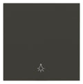 Panasonic WDTR00161DG-EU1 Plus 55 Wippe anthrazit m.Symbol Licht