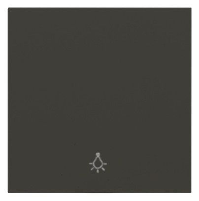 Panasonic WDTR00161DG-EU1 Plus 55 Wippe anthrazit m.Symbol Licht