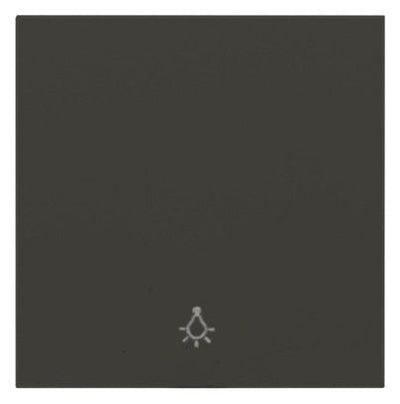 Panasonic WDTR00161DG-EU1 Plus 55 Wippe anthrazit m.Symbol Licht