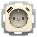 BJ 20 EUCB2USBAC-212 SCHUKO®-/USB-A+C Steckdose
