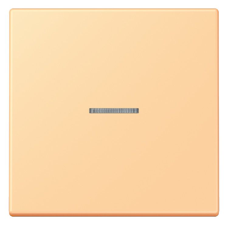 Jung LC101KO5258 Wippe m.Lichtleiter f.KNX Taster 1fa