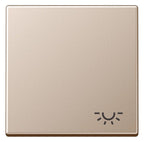 Jung A590LCH Wippe Symbol Licht Serie A champagner