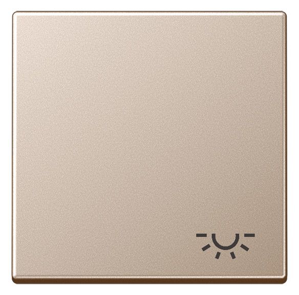 Jung A590LCH Wippe Symbol Licht Serie A champagner