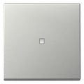 GIRA 3290600 Wippe Kontrollfenster System 55 Edelstahl