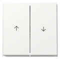 GIRA 329466 Wippe 2fach Pfeil TX_44 WG UP Reinweiß