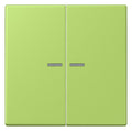 Jung LC995KO5221 Wippe f.Serienschalter KO LC32052