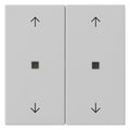 GIRA 5386015 Wippe 2fach Pfeile KF System 55 Grau matt (lackiert)
