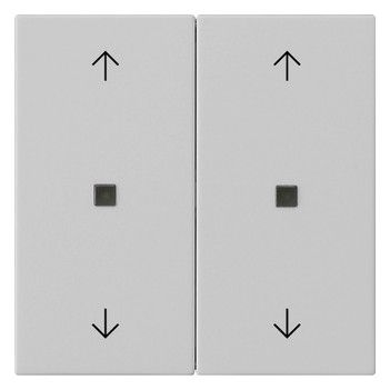 GIRA 5386015 Wippe 2fach Pfeile KF System 55 Grau matt (lackiert)