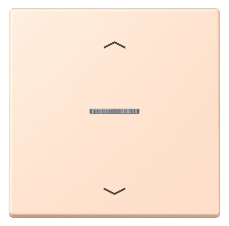 Jung LC101KO5P228 Wippe m.Lichtleiter u. Pfeilsymbolen