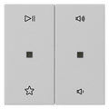 GIRA 5384015 Wippe 2fach Audiosteuerung System 55 Grau matt (lackiert)