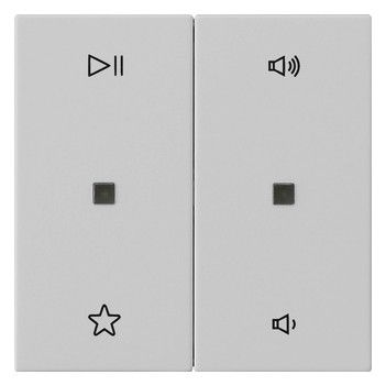 GIRA 5384015 Wippe 2fach Audiosteuerung System 55 Grau matt (lackiert)