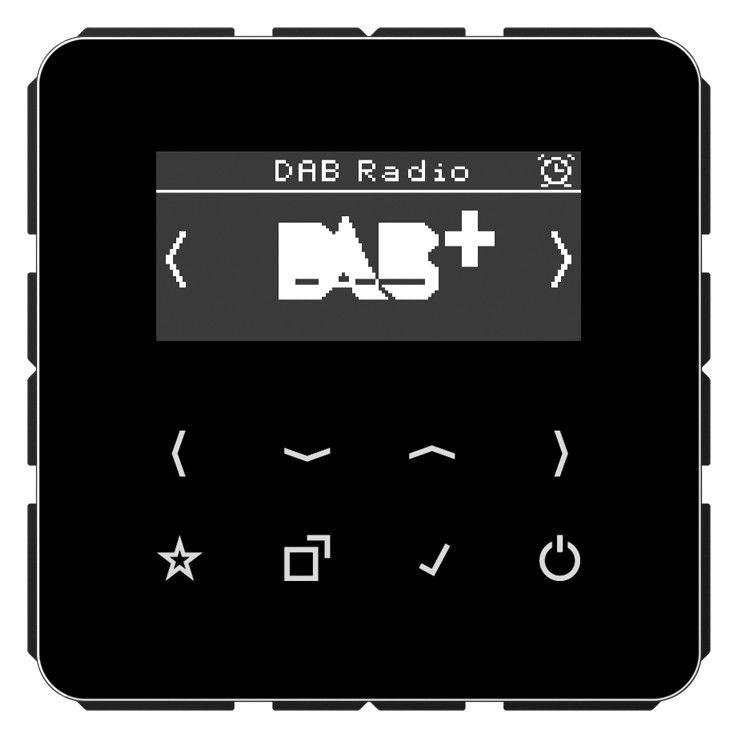 Jung DABCDSW Smart Radio DAB+