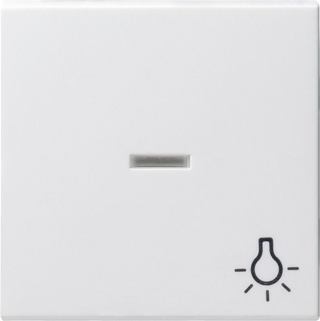 GIRA 067427 Wippe Kontrollfenster+Symbol Licht System 55 Reinweiß seidenmatt