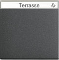 GIRA 029928 Wippe Beschriftungsfeld System 55 anthrazit