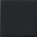 GIRA 0296005 Wippe System 55 Schwarz matt (lackiert)