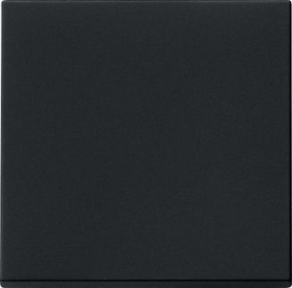 GIRA 0296005 Wippe System 55 Schwarz matt (lackiert)